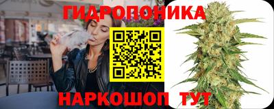 трава Новозыбков
