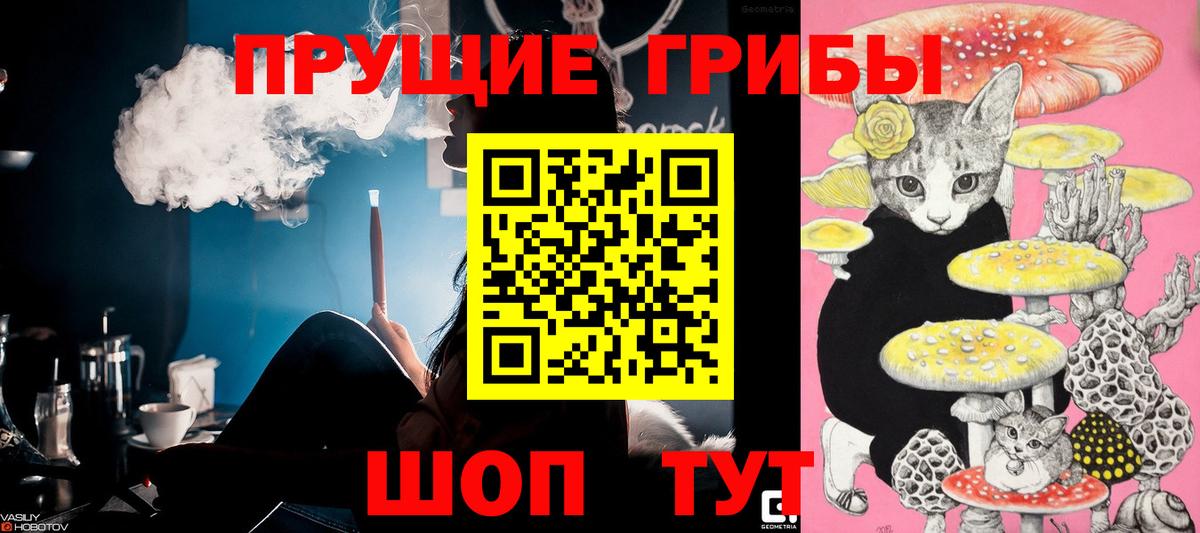 Родники  Псилоцибиновые грибы Magic Shrooms  Вход с VPN 